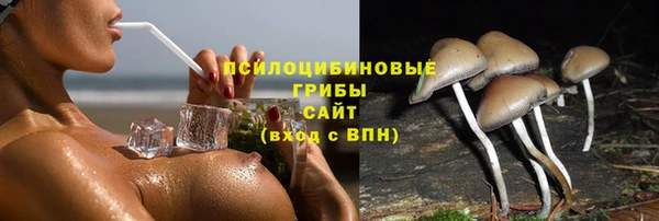 прущая мука Балахна