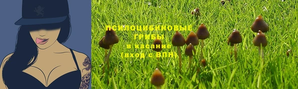 Альфа ПВП Балабаново