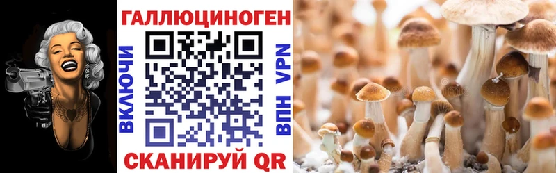 Купить где  Десногорск  Псилоцибиновые грибы Magic Shrooms 